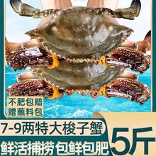 【顺丰包邮】梭子蟹新鲜捕捞活冻梭子蟹螃蟹帝王蟹红膏蟹新鲜鲜活