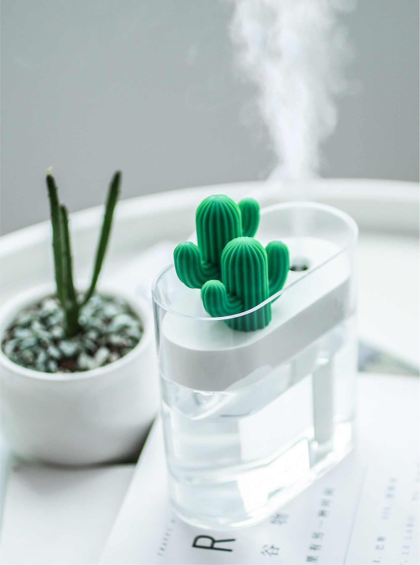 Sanhuo 319 Humidifier Cactus Transparent Household USB Interface Silent Bedroom Air Dormitory Small Desktop