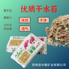 大量批发干水苔 盆栽花卉多肉栽培基质 水苔藓蝴蝶兰  专用营养土