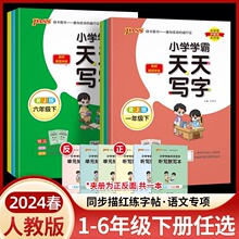 24版字帖小学学霸天天写字一二三四五六年级同步训练描红本临摹本