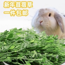 苜蓿草草捆一吨苜蓿草2023新草烘烤紫花苜蓿草兔子粮食猪幼兔草