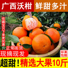 正宗广西桂林武鸣沃柑橘桔子一级超甜10斤大果当季新鲜现摘包邮