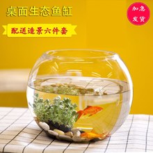 办公室小鱼缸加厚透明玻璃乌龟缸客厅家用桌面圆形迷你金鱼缸