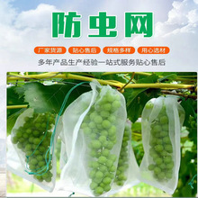 跨境水果蔬菜防虫网袋植物网罩果瓜植物保护罩 带抽绳束口防鸟袋