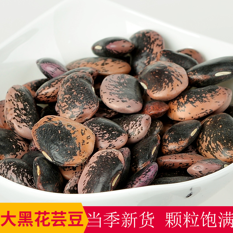 大黑花芸豆批发云南黑腰豆五谷杂粮25kg豆类粗粮牛眼豆