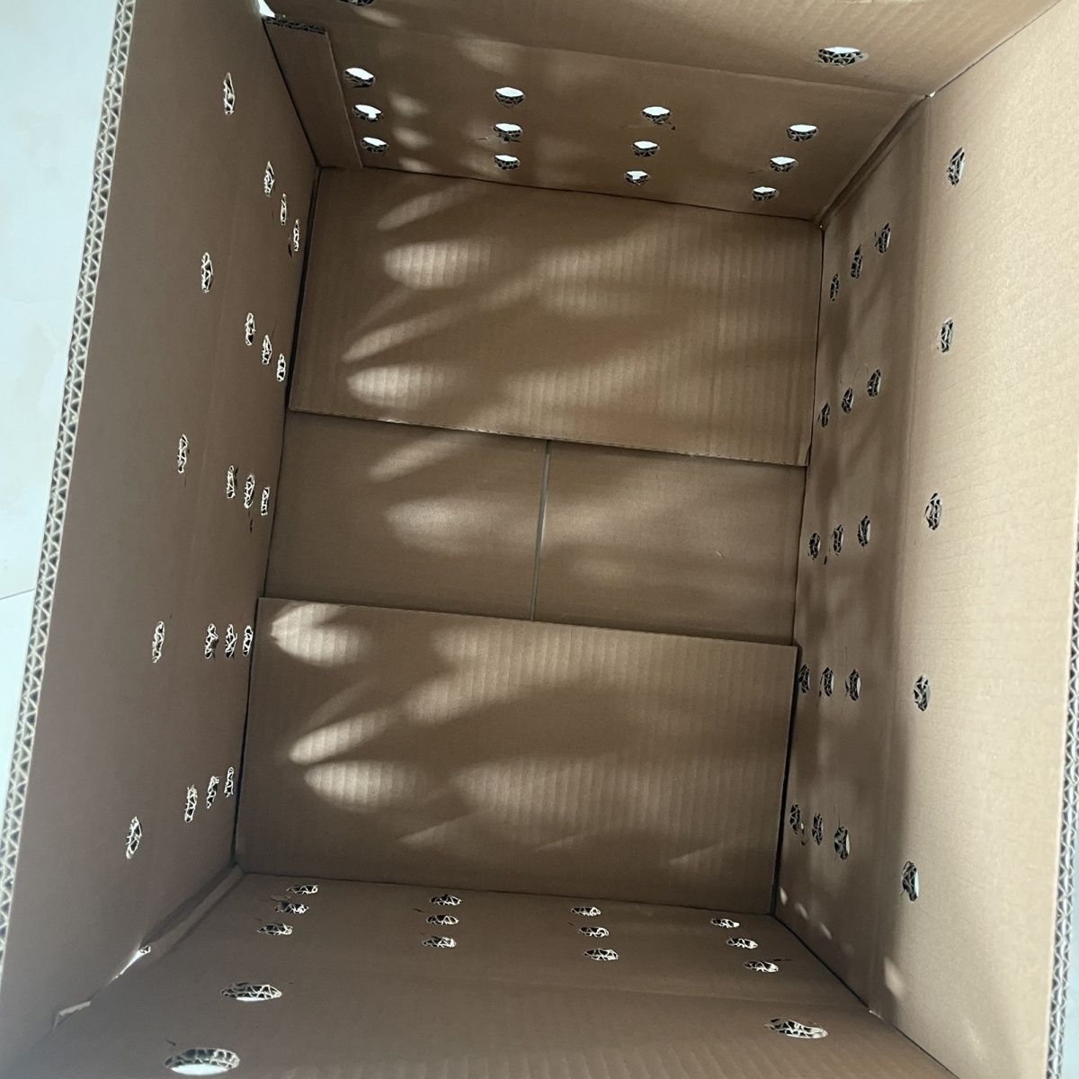 50x37x19圆孔加厚鸽子活体快递纸箱打孔纸箱鸡笼宠物开孔透气