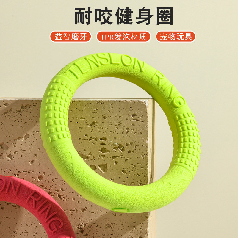 TPR发泡狗狗训犬用宠物球啃咬拉环宠物玩具寻回互动玩具