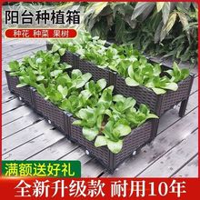 种植箱长方形花盆阳台室内种菜庭院种菜专用盆特大号清仓