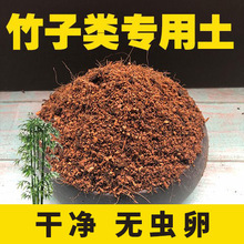 竹子土竹类盆栽营养土种植土酸性沙质土壤种簕竹勒竹土