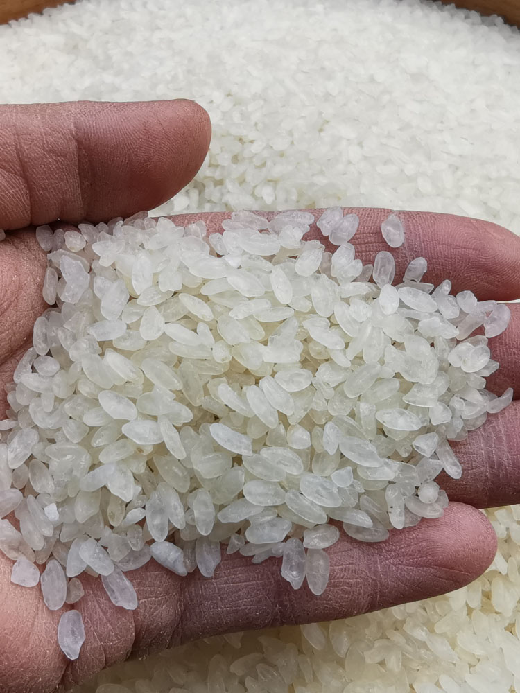 广西阴米桂林特产米花熟糯米米扁农家炒米油茶佐料孕妇月子米滋补