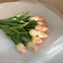 郁金香花送花瓶桌面摆设ins房间装饰摆件假花束拍照道具