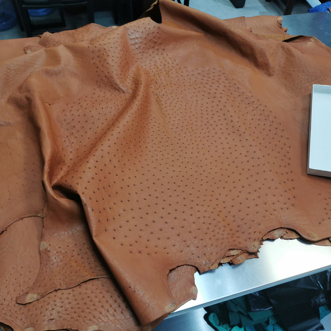 aresgator南非鸵鸟皮真皮水染哑光整张金棕色无涂大尺寸鸵鸟皮料