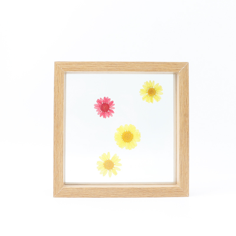 Creative Dried Flowers Leaves Specimen Box Wholesale Square A4 Paper Cut Diy Picture Frame Double-Sided Glass Photo Frame