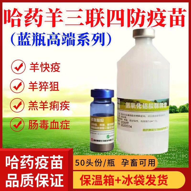 哈药高端羊三联四防羊快疫猝疽羔羊肠毒血症羊疫苗羊药50头