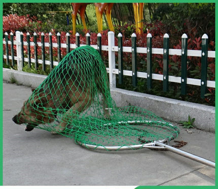 逮狗神器大型犬