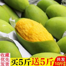 广西玉芒果10斤装单果100300g青芒果/8/5/3斤新鲜水果多规格网红