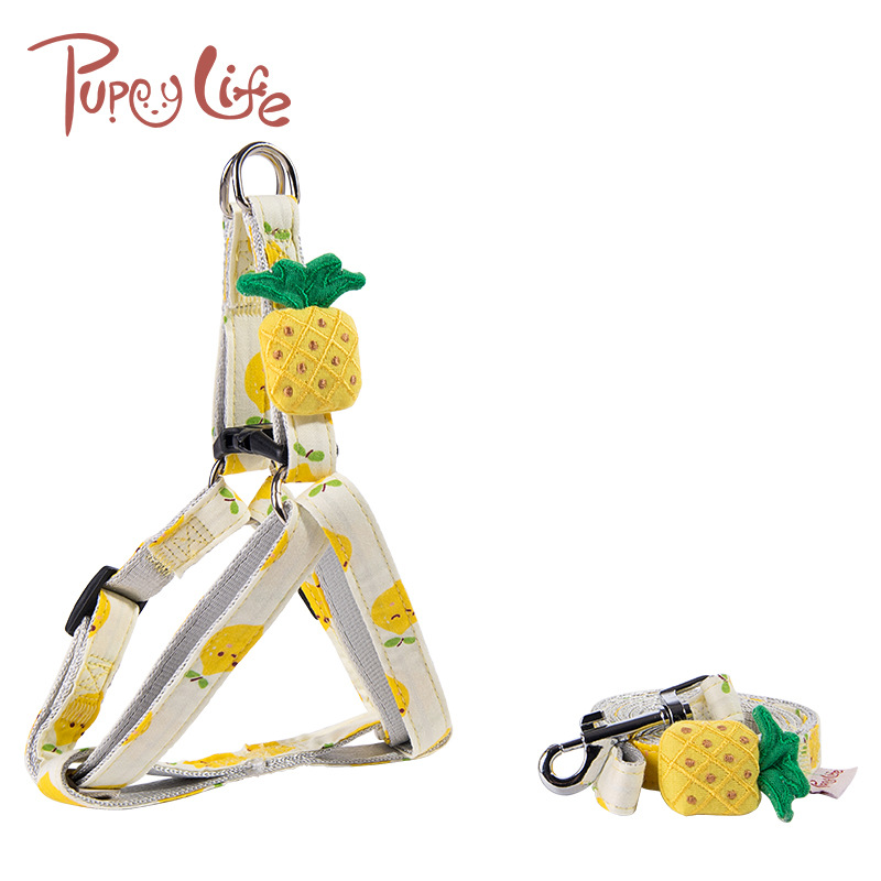 Small and Medium-Sized Outing Dog Traction Safety Rope Fruit Series Dog Dog Leash Dog Rope Cat Pulling Rope