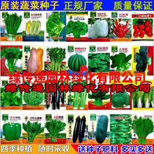 四季蔬菜菜种种子农家阳台盆栽种菜菜种大全香菜生菜韭菜草莓籽孑