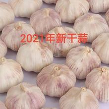 21年新鲜干大蒜 大蒜/500g农家自产大蒜白皮大蒜可发芽一件代发