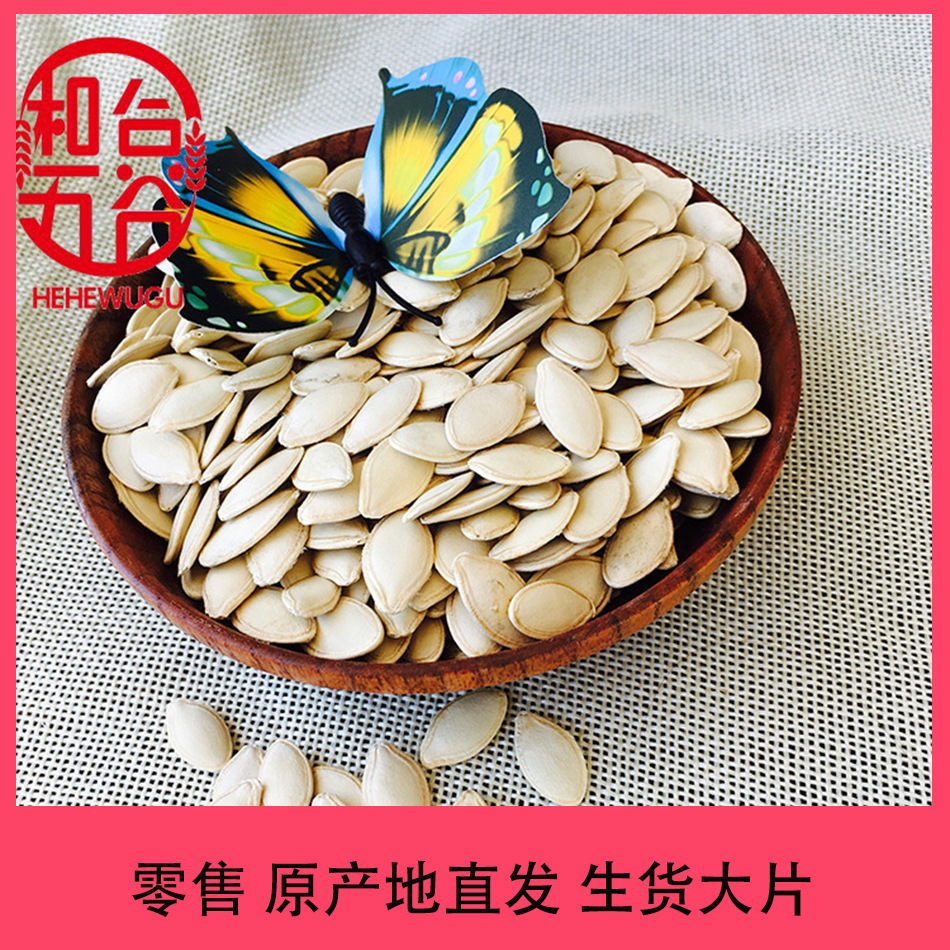 优质西葫芦种子