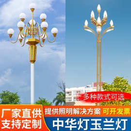 景区中华灯玉兰灯路灯灯罩景观灯6米7米户外灯led高杆灯广场