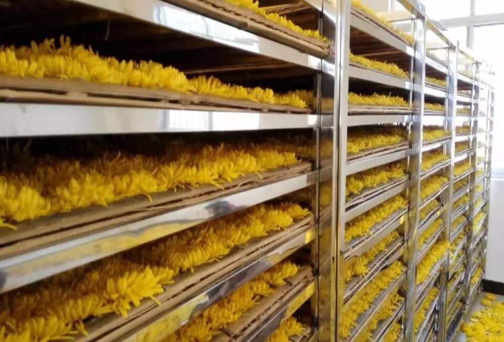 菊花烘干机花茶空气能热泵烘干设备菊花桂花烘干机直供厂家