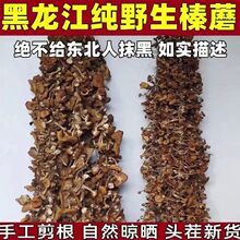 榛蘑东北野生蘑菇干货山珍土特产煲汤菌菇小鸡炖蘑菇用的榛蘑500g