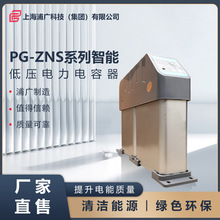 厂家供应PG-ZNS智能低压电力电容器补偿装置现货批发