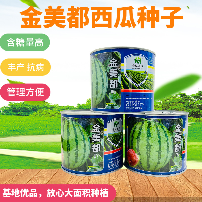美都西瓜种子大全耐裂冰糖瓜种籽8424早佳西瓜种孑甜王西瓜抗病强