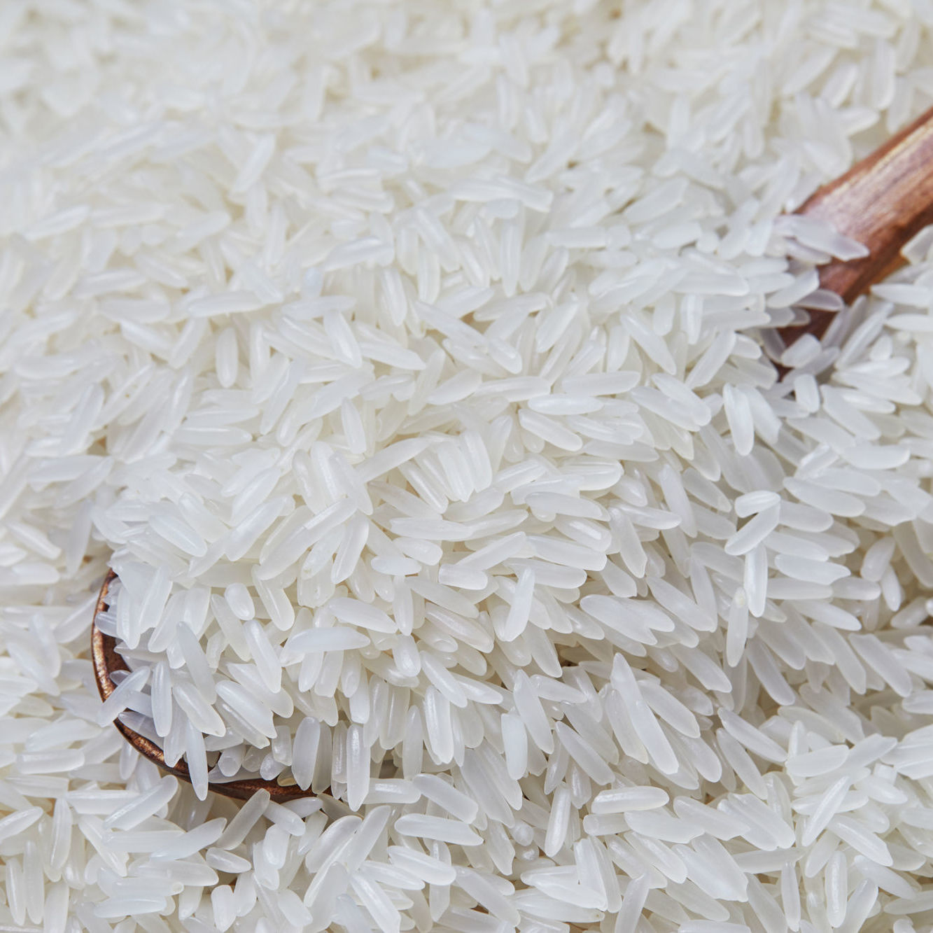 斤兴安盟草原三河朝鲜屯长粒米软