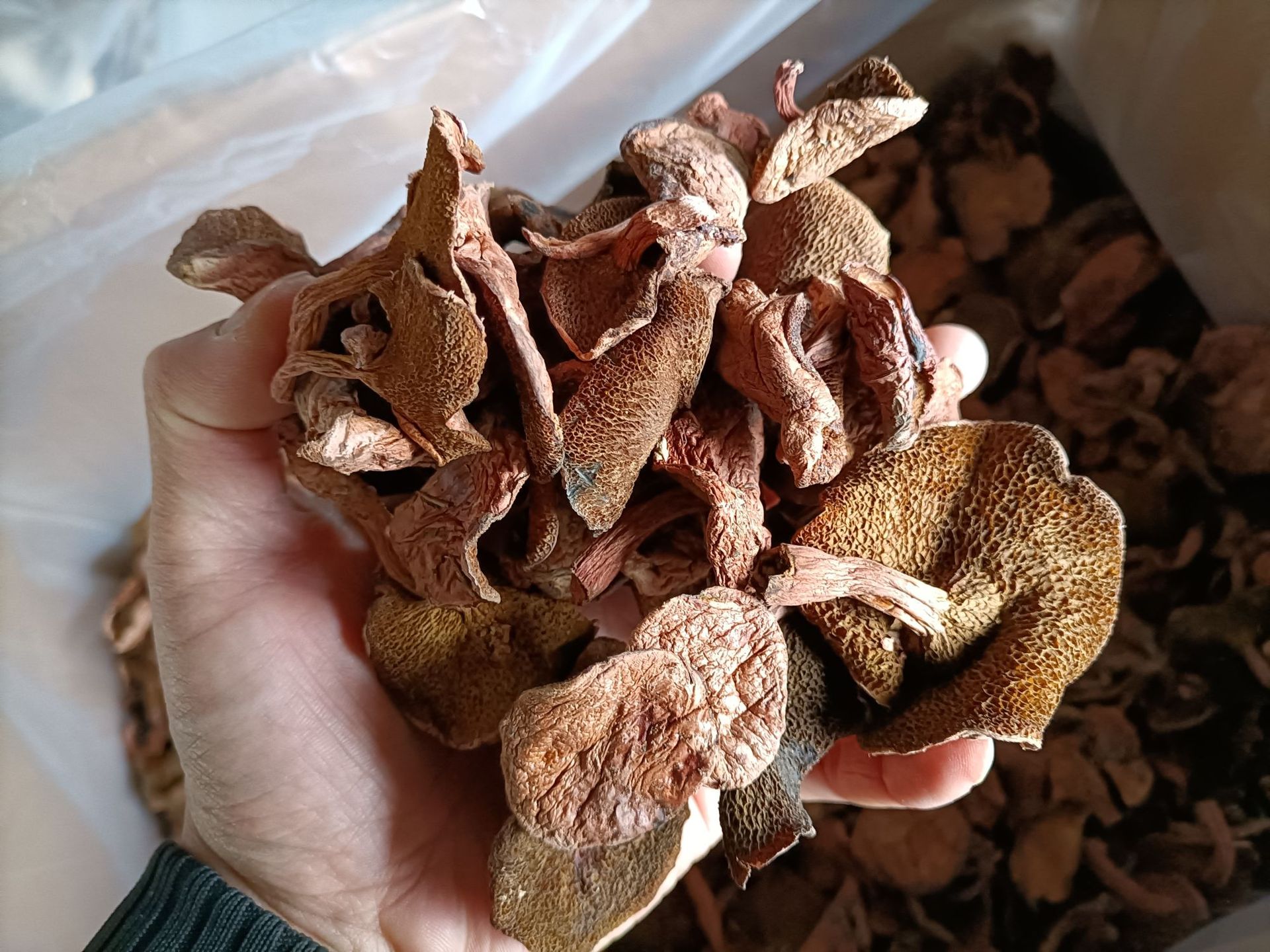 云南野生红乳牛肝菌2斤 乳牛肝干品 剔除黑杂霉 菌菇 干货农产品