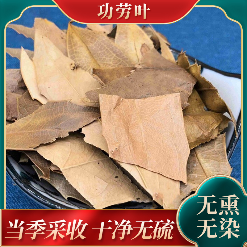功劳叶十大功劳木叶中药材枸骨叶猫儿刺八角刺中药材中草药老鼠刺