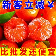 广西沙糖桔无籽新鲜橘子应季砂糖橘薄皮整箱现摘果园直发橘子水果