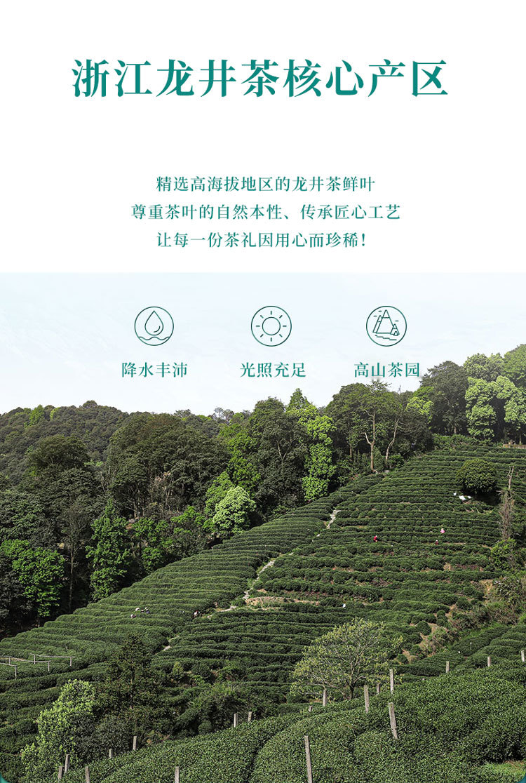 2022年明前绿茶新茶浙江嵊州新昌大佛龙井批发一件代发直播供货