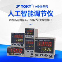AI708/AI808P-6-SC10/RC10/DC18东崎TOKY可编程控制高级智能温控
