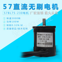 57直流无刷电机BL55-230驱动器5A10A低压霍尔信号ZM-BL数显调试器