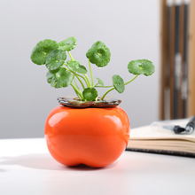 柿柿如意创意绿萝水培花瓶插水养铜钱草柿子花盆器皿桌面装饰摆件