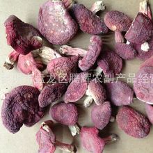 云南特产 野生菌大红菇干货 一手货源手工挑选无苦味批发量大从优