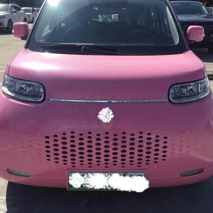 适用于长城欧拉r2白猫机盖饰条后包围饰条白猫r2改装