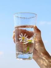 日式创意金边锤目纹玻璃杯雏菊家用喝水杯子花茶杯冷饮果汁杯酒杯