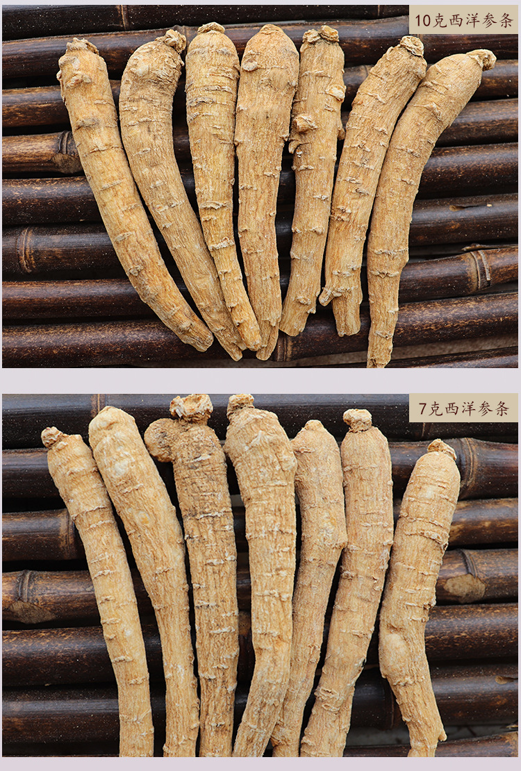 西洋参整枝【正品西洋参条500克包邮】花旗参 长白山整枝西洋参
