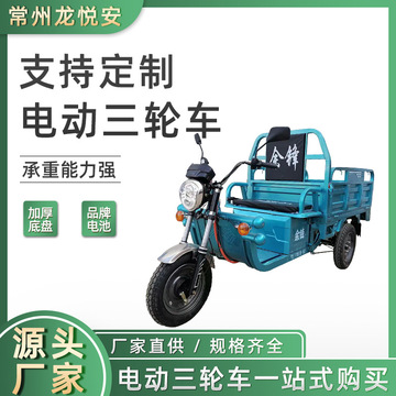 电动三轮车外贸拉货载重王三轮电动电瓶车大型农用三轮车摆摊快递