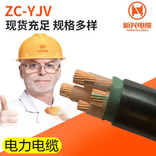 厂家批发新兴ZC-YJV3+2电力工程电缆 铜芯绝缘地装电力电缆
