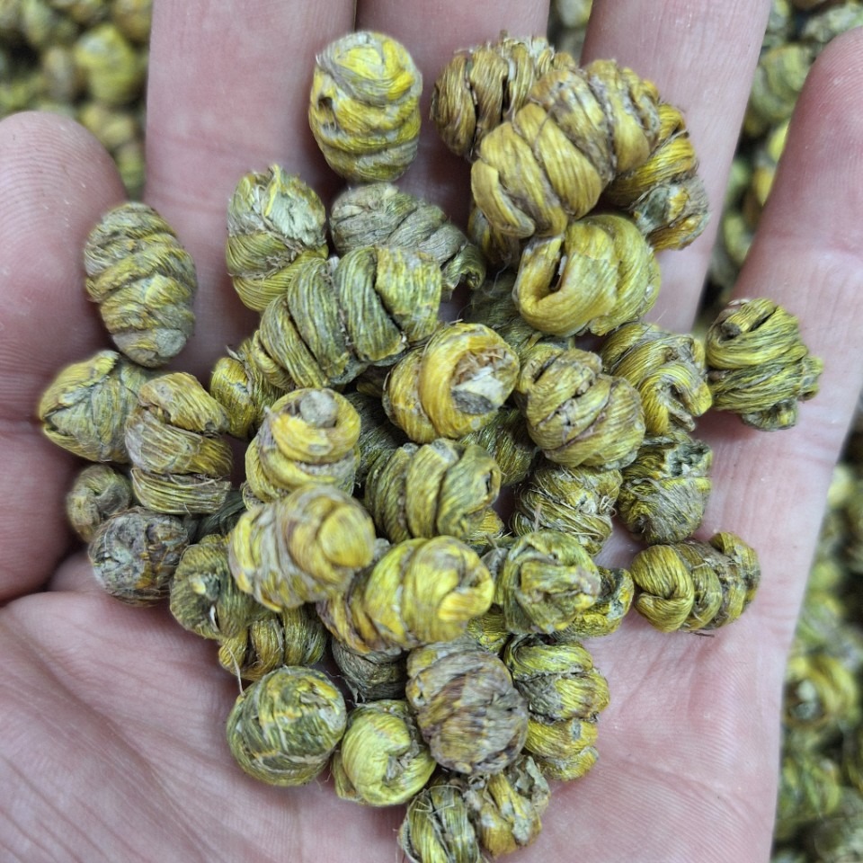 铁皮石斛霍山原产 正品5年林下生长枫斗颗粒新鲜条石斛原浆可磨粉