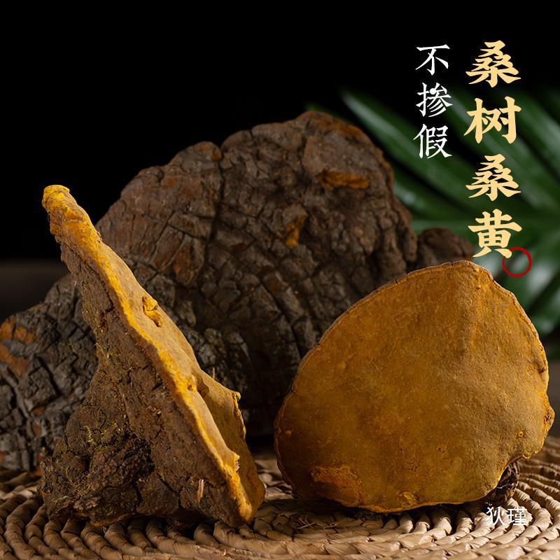 中药材桑黄西藏野生正品桑树桑黄灵芝干货优选500g可磨粉-阿里巴巴