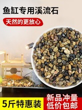 石石子溪流砂石鹅卵石底部原生石沙子底砂石头造景石鱼缸铺底天然