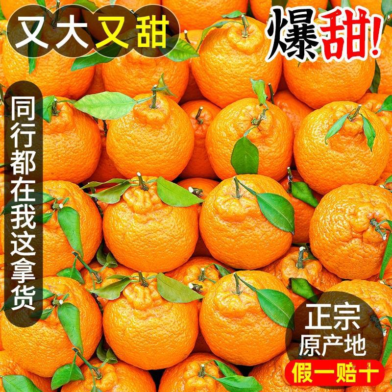 四川不知火丑橘新鲜8斤整箱水果当季粑粑丑八怪柑橘耙耙桔子-阿里巴巴