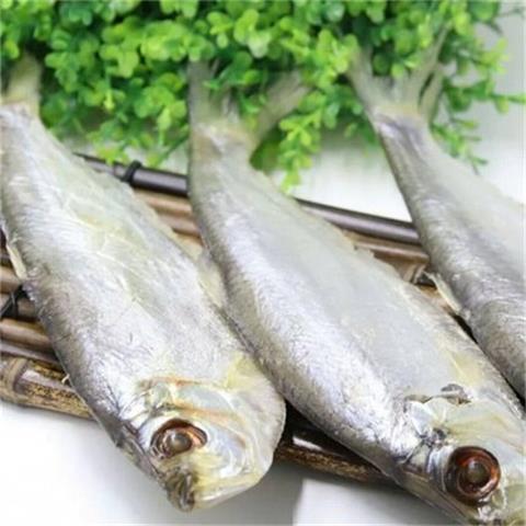 批发山东特产霉香鱼臭香咸力鱼咸霉鳓鱼咸白鳞鱼梅香鱼咸鱼干500克