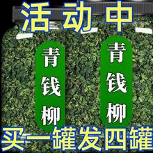 【植物】江西修水野生青钱柳原产地青钱柳茶金钱柳茶叶