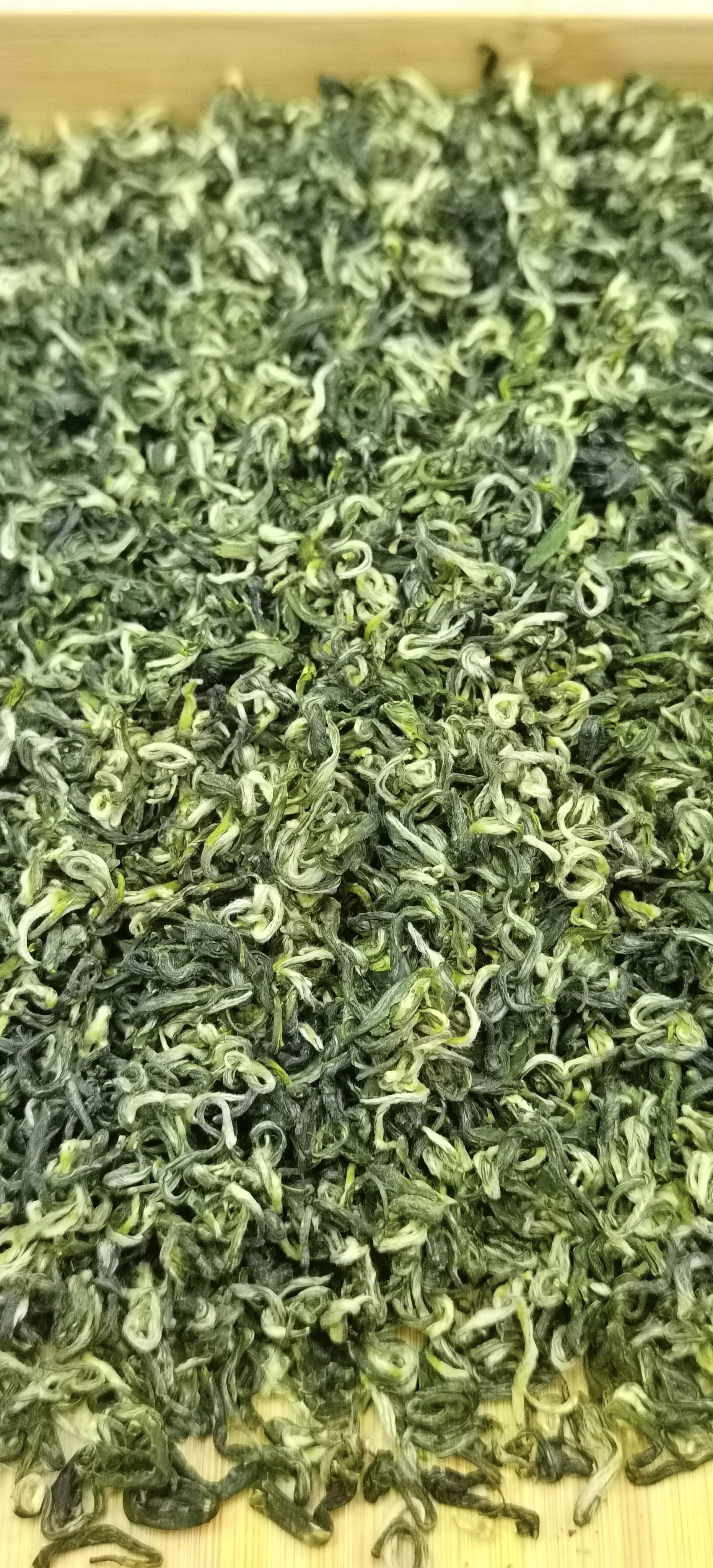 都匀毛尖茶*2024年*新茶高山云雾一芽一叶春茶*贵州绿茶茶叶